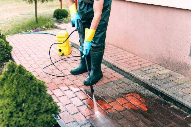 Trusted Groveton, VA  Pressure Washing Services Experts
